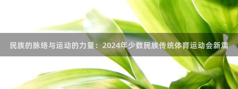 米兰体育官网下载平台注册:民族的脉络与运动的力量:2024年