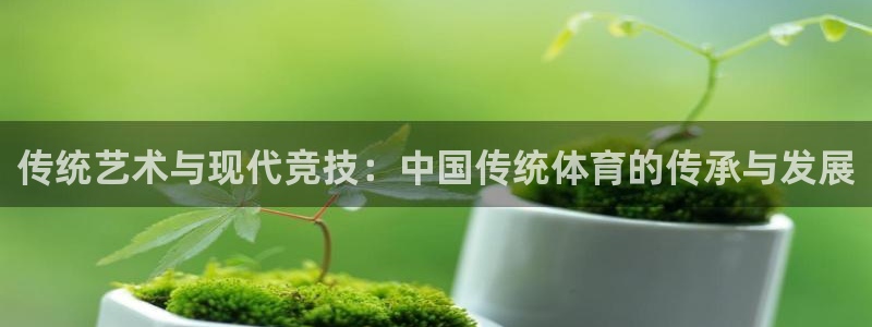 米兰体育官方正版app娱乐代理怎么样:传统艺术与现代竞技:中