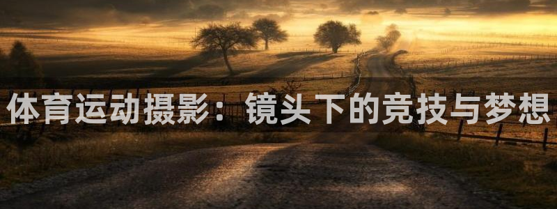 米兰体育官网下载官方客服电话:体育运动摄影:镜头下的竞技与梦