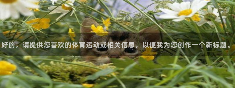 米兰体育官方正版app官网:好的,请提供您喜欢的体育运动或相